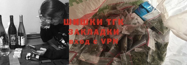 ПСИЛОЦИБИНОВЫЕ ГРИБЫ Бородино