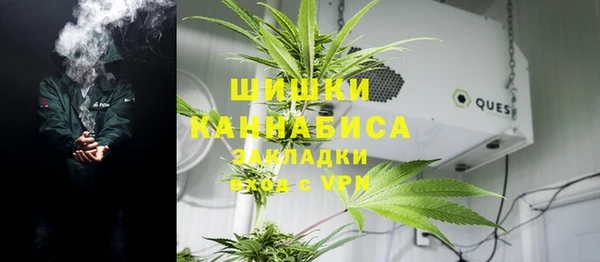 бошки Верея