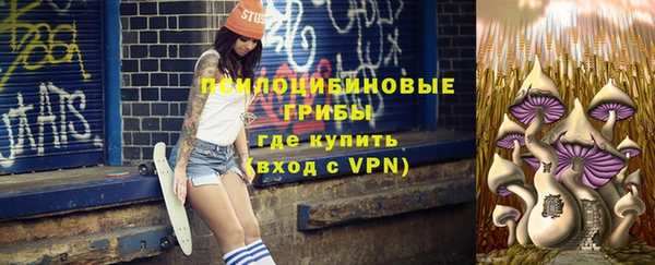 твердый Бронницы