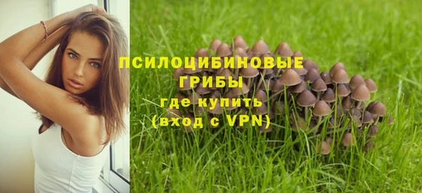 бошки Верея