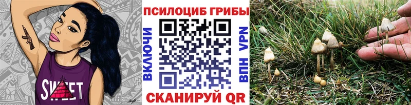 как найти наркотики  Лакинск  Псилоцибиновые грибы мицелий 