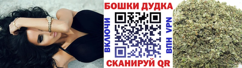 Бошки марихуана OG Kush  как найти закладки  Лакинск 